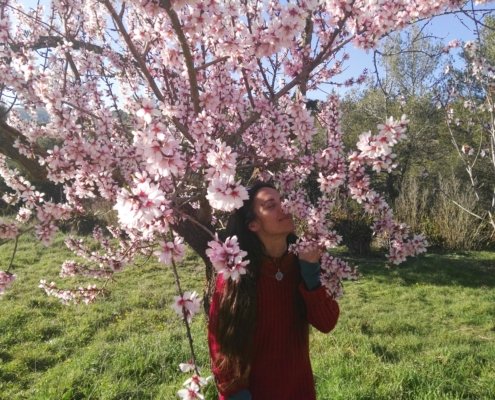 climaterio y menopausia: tan biológico como cultural